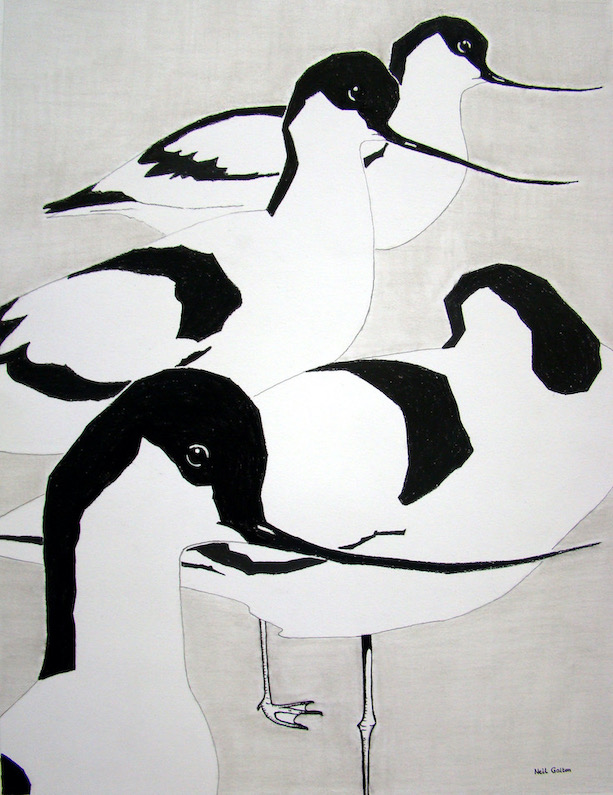 Avocets