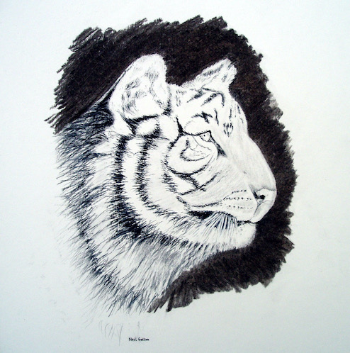 Tigress