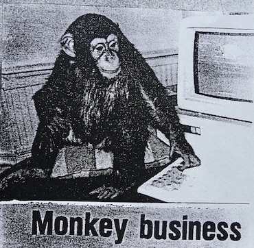 monkey