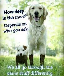 mud