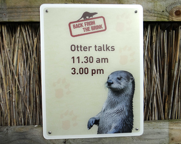 otter
