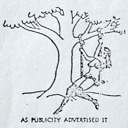 product cycle