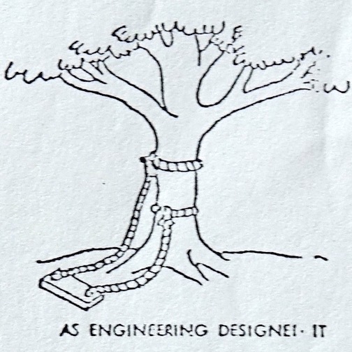 product cycle