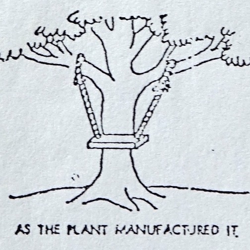 product cycle