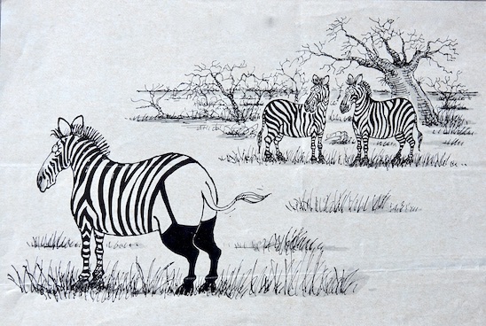 zebra