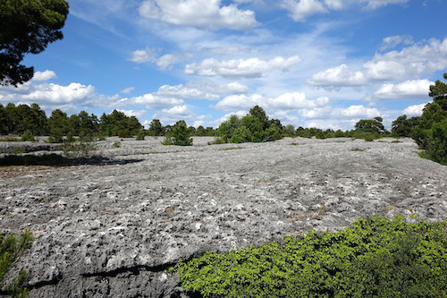 limestone