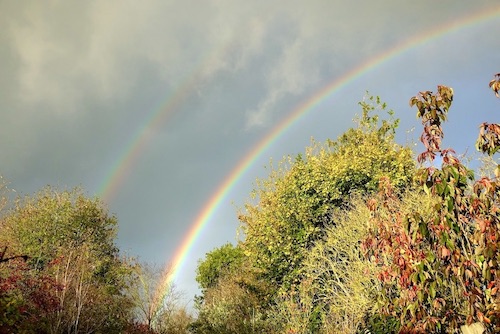 rainbow